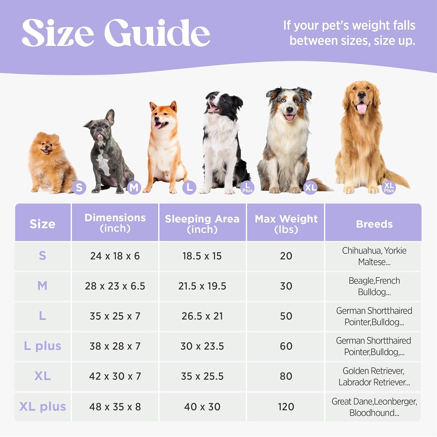 LE SURE Cute Dog Bed Medium Size Dog, Orthopedic Waterproof Medium Pet Beds with Sides, Non-Slip Bottom and Egg-Crate Foam Pet Couch Sofa with Washable Removable Cover, Blue