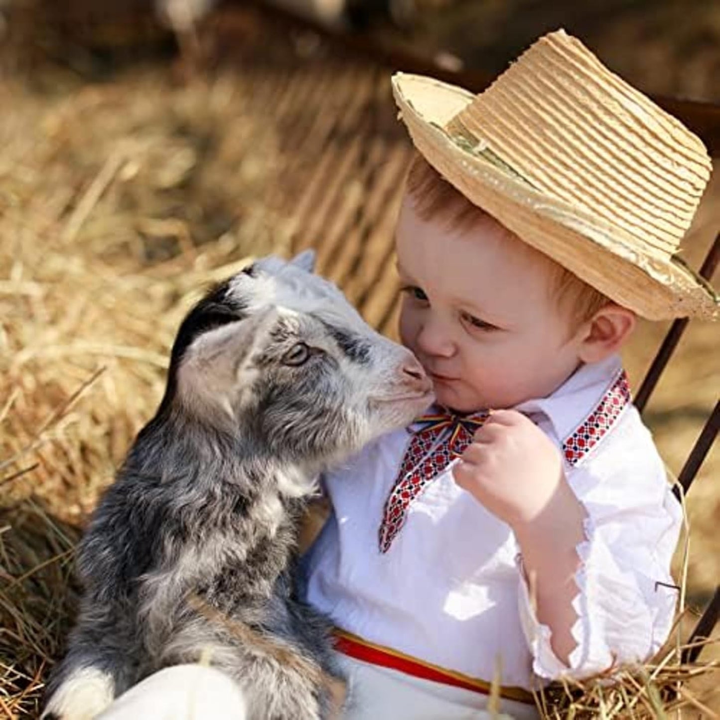 Blue Mountain Hay | Fresh Organic Meadow Hay (40 Ounce) | Mimics Natural Forage | High-Altitude Hay Pet Food for Rabbits, Guinea Pigs, Chinchillas, Hamsters, and Other Small Pets