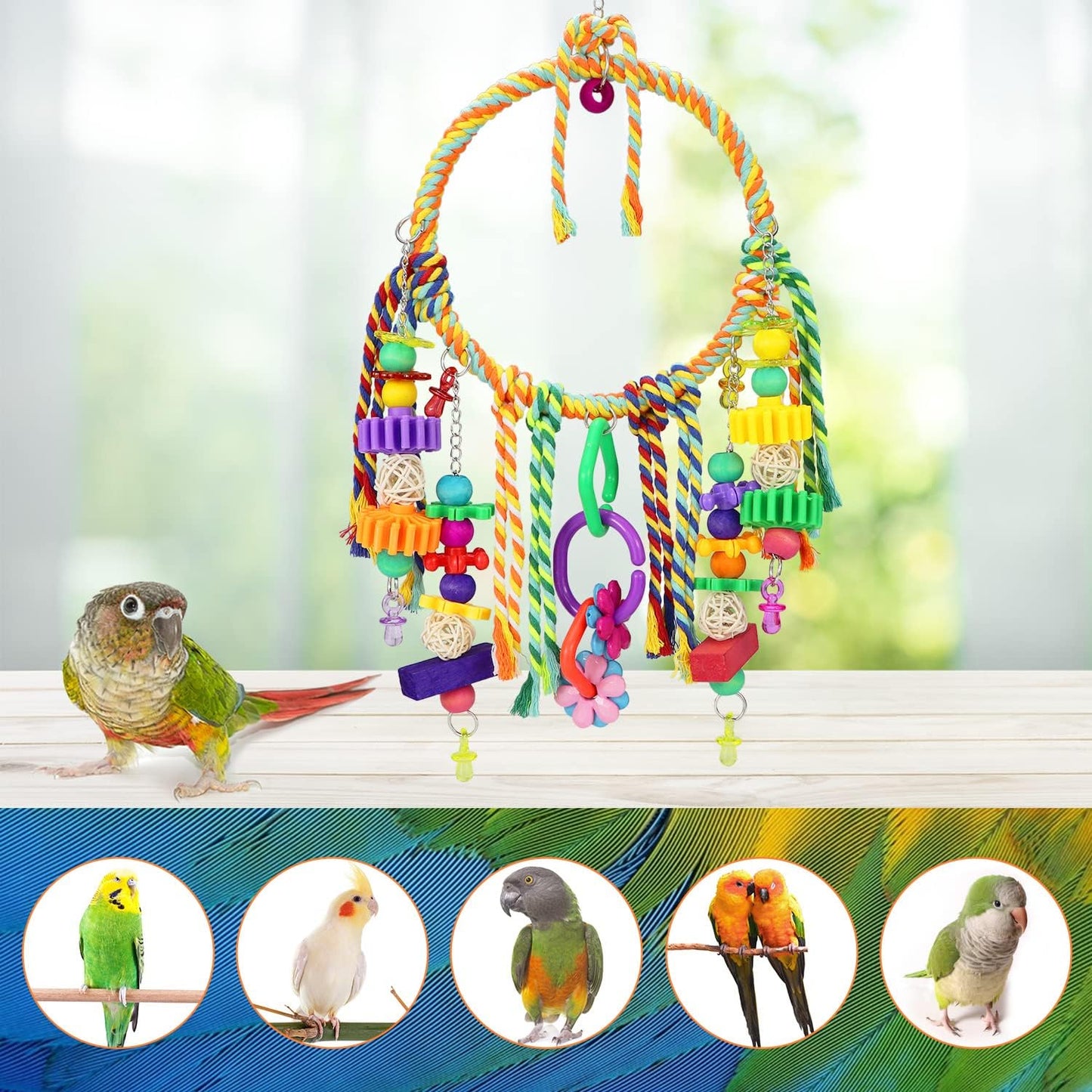 Bird Swing Toy with Perches - Colorful Chewing Toys for Parakeets, Meyers Cockatiel, Conure, Quaker, Caique & Other Medium Sized Birds