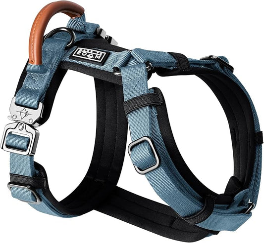 MADE TO ROAM Premium Explorer Harness - Y-Shaped Dog Harness with Adjustable Durable Nylon, Soft Padding, Metal Buckles and Leather Handle for Small, Medium, Large Dogs (California Horizon, Size 7)
