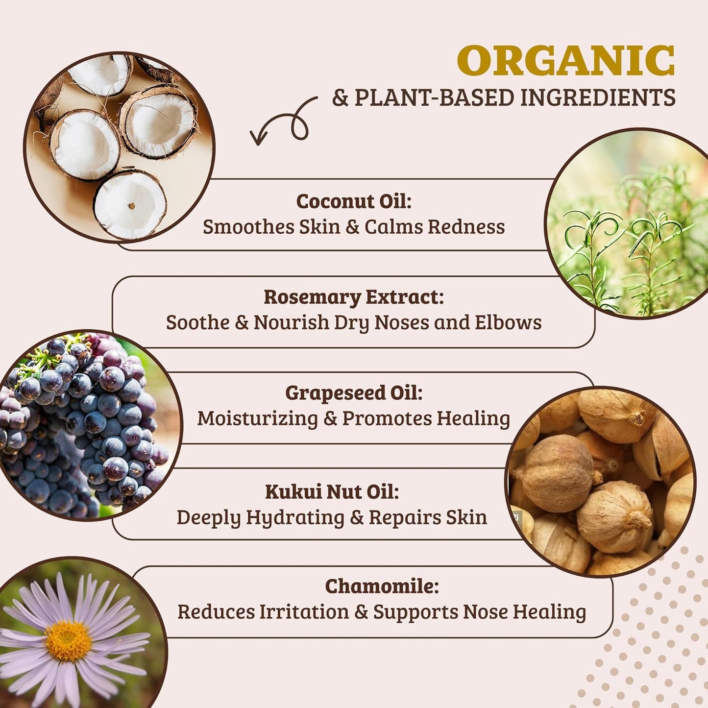 Natural Dog Company Snout Soother, Dog Nose Balm, Wax & Cream for Dry, Cracked Noses, Heals & Moisturizes with Shea Butter & Coconut Oil, Lick-Safe Nose Butter, Made in USA, 2 oz. Tin