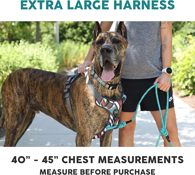 Embark Adventure Dog Harness, Reflective Trim XL Dog Harness for Extra Large Dogs No Pull - Military Grade Nylon, 2 Leash Clips & Gel Lined Handle.