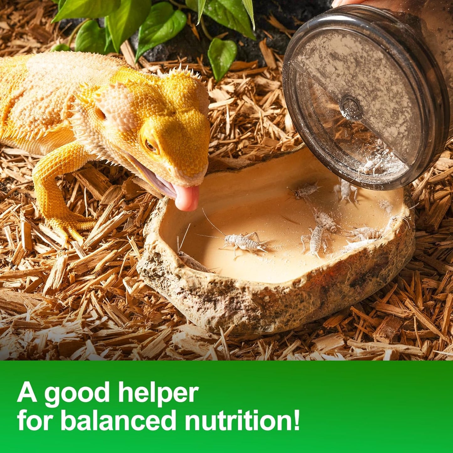 Cricket Calcium Powder Mixer, Reptile Cricket Keeper, Reptile Calcium Duster for Bearded Dragon Gecko Lizard Snake Chameleon