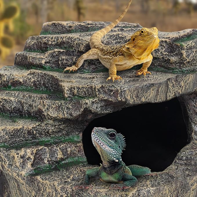 Beared Dragon Tank Accessories for Adults, Snake Hide, Reptile Tank Accessories, Perfect Natural Large Reptile Hide, Professional Turtle Basking Platform (E-Large)