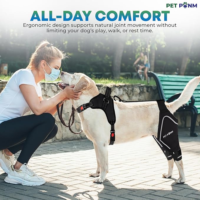 Dog ACL Knee Brace for Back Left Leg - with Integrated Harness - for Cruciate Ligament Injuries, Patellar Luxation, Post-Surgery Recovery. Durable, Breathable Material, Eases Pain - (XLarge)