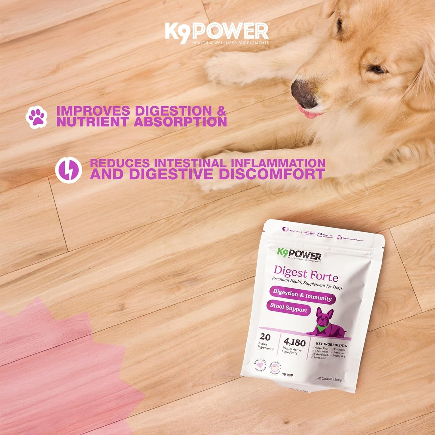 K9 Power Digest Forte for Dogs 1lb – Digestive, Immunity & Calming Support - Enhances Nutrient Absorption - Balances Gut Flora - Eases Discomfort & Boost Mood - Pack of 2