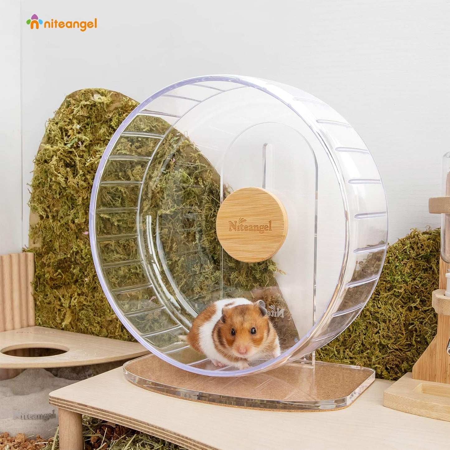 Niteangel Super-Silent Hamster Exercise Wheels - Quiet Spinner Hamster Running Wheels with Adjustable Stand for Hamsters Gerbils Mice Or Other Small Animals (M, Transparent)