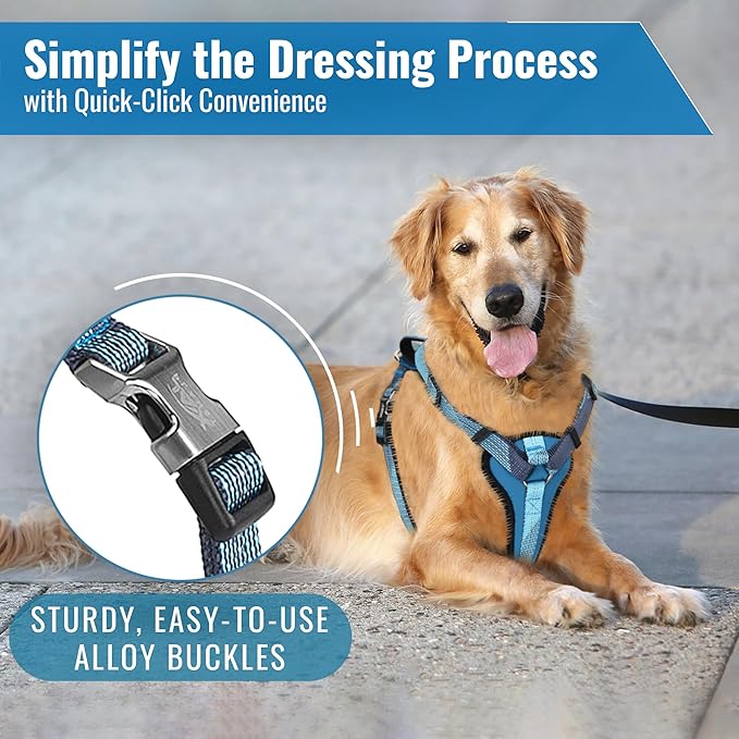 No-Pull Dog Harness with Handle - Escape Proof, Anti-Pulling, Grip Control, Multi-Angle Reflective for Safe Walks & Training, Easy On & Off, Metal Buckle–Pet Harness, Medium/Large Dogs- N H4- Blue