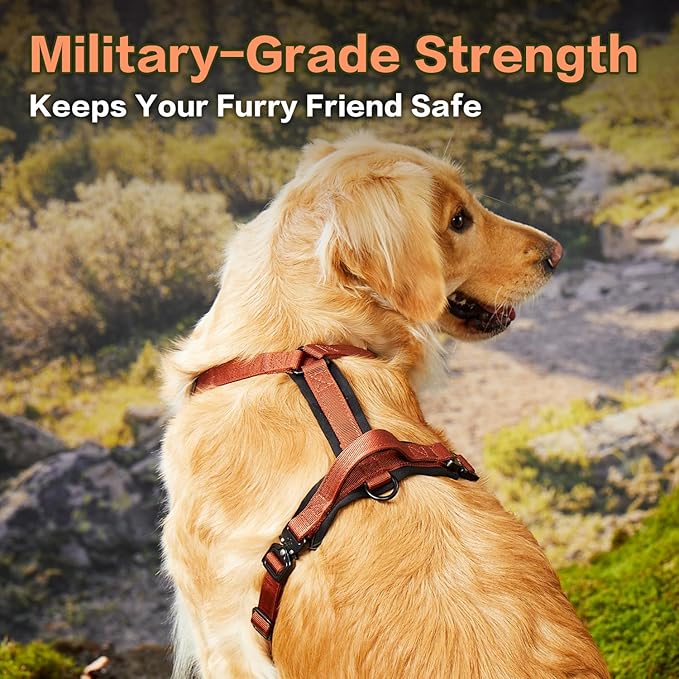 CLEPAWS Dog Harness for Small Dogs, No Pull Dog Harness Easy Walk with Metal Hardware, Ergonomic Y-Shaped Design, Soft Padding, Padded Handle, Durable High-Tensile Nylon (Canyon Red, S)