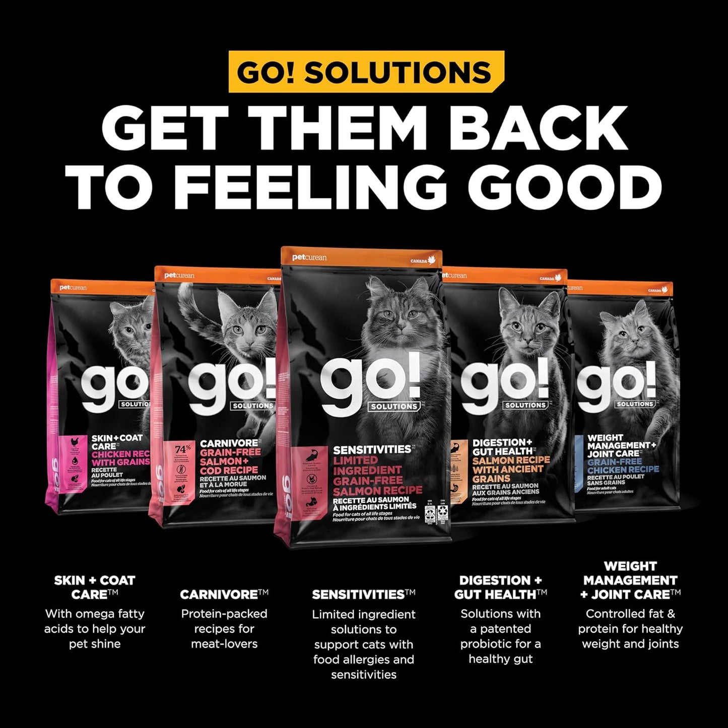 Go! Solutions Sensitivities Limited Ingredient, Grain-Free Dry Cat Food, Salmon Recipe for Sensitive Stomach, 12 lb Bag