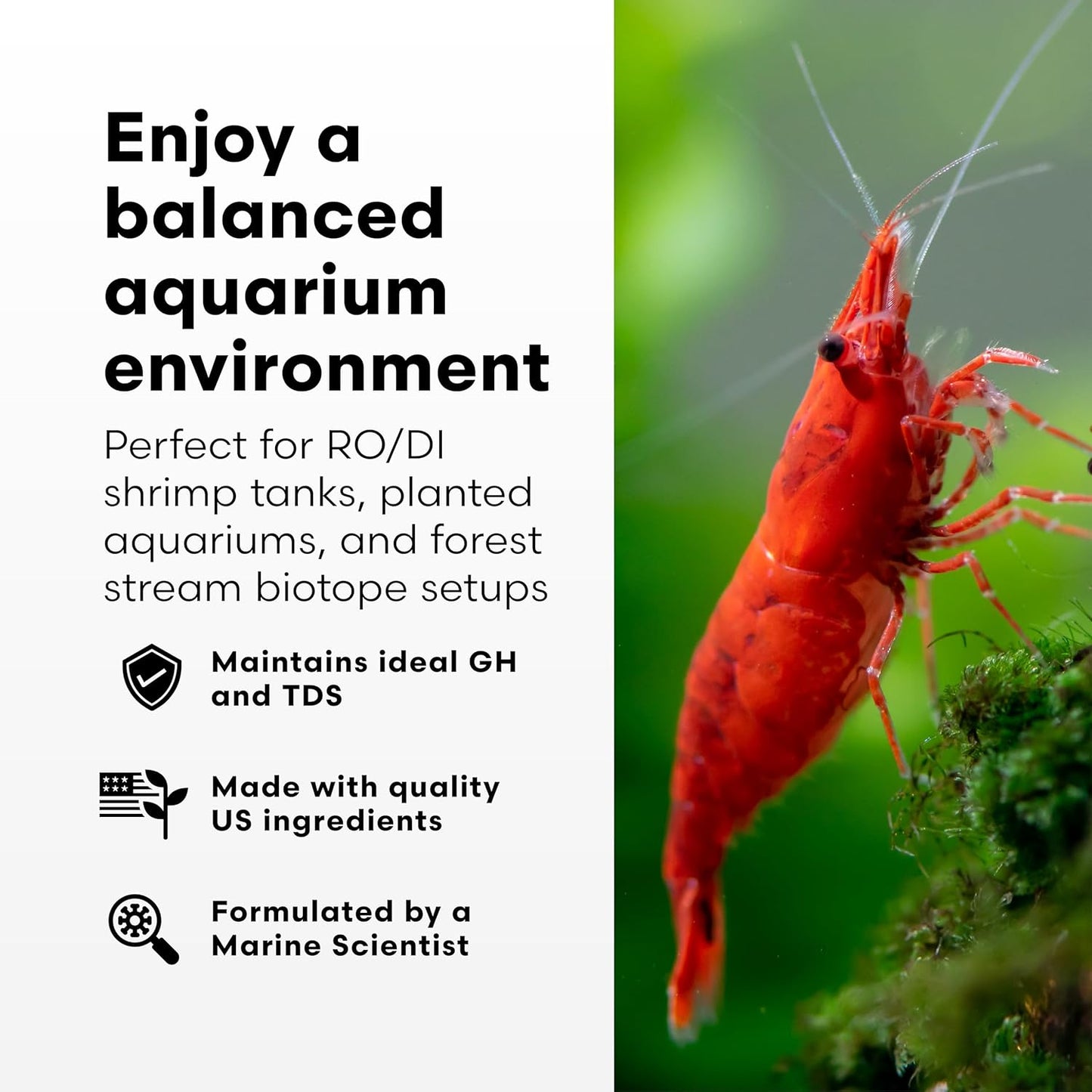 Brightwell Aquatics Caridina GH+ Mineral Supplement Restores Calcium Magnesium Potassium Sodium in Soft RO/DI Water for Shrimp Breeding and Plant Health, 250 ml