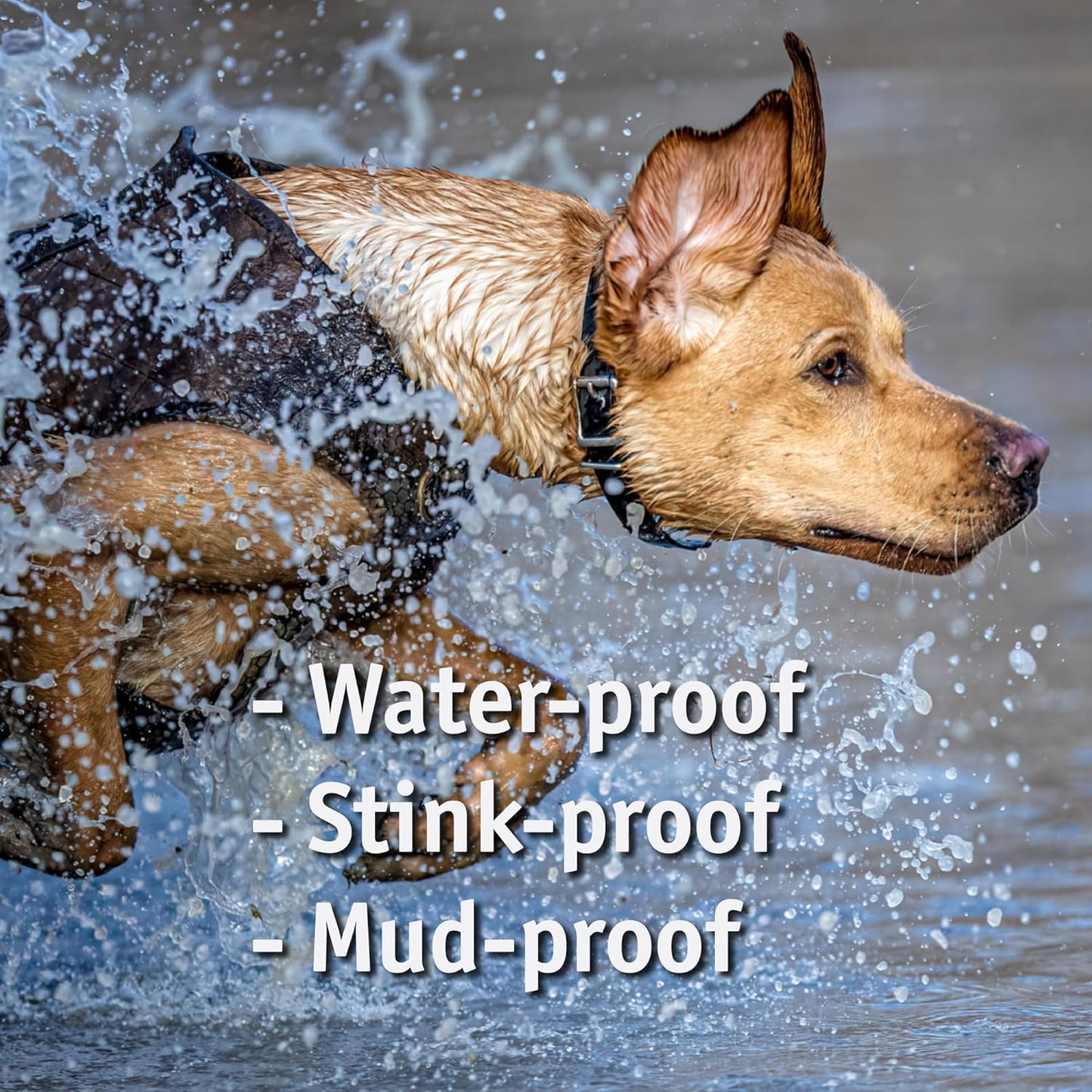 Biothane Custom Dog Collar – Waterproof, Stink-Proof Personalized Collar with Name & Phone Number – Durable, Many Sizes and Colors – Assembled in USA (Sky Blue)