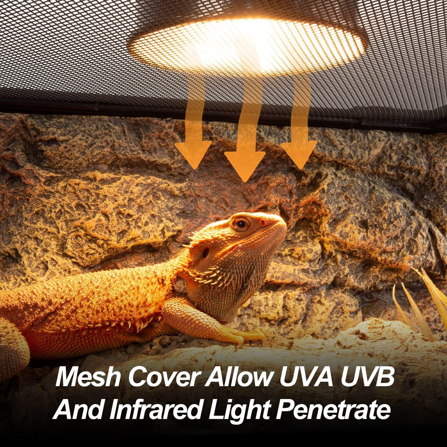 Large Reptile Tank 55 Gallon, 360°Full Vision Glass Reptile Terrarium with Top Mesh Lid for Beaded Dragon Lizard Gecko Snake Hermit Crab Use, 36"(W) X18(D) X20(H)