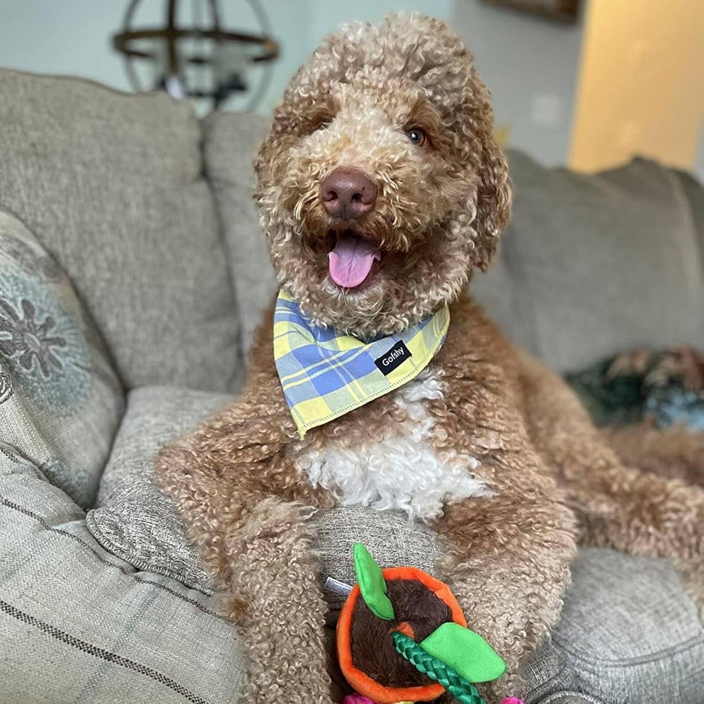 Summer Dog Bandana Small-Dog Scarf Vibrant Color Yellow Blue Plaid Printing Adjustable Bib Handkerchief Accessories for Small Dogs Cats (S)