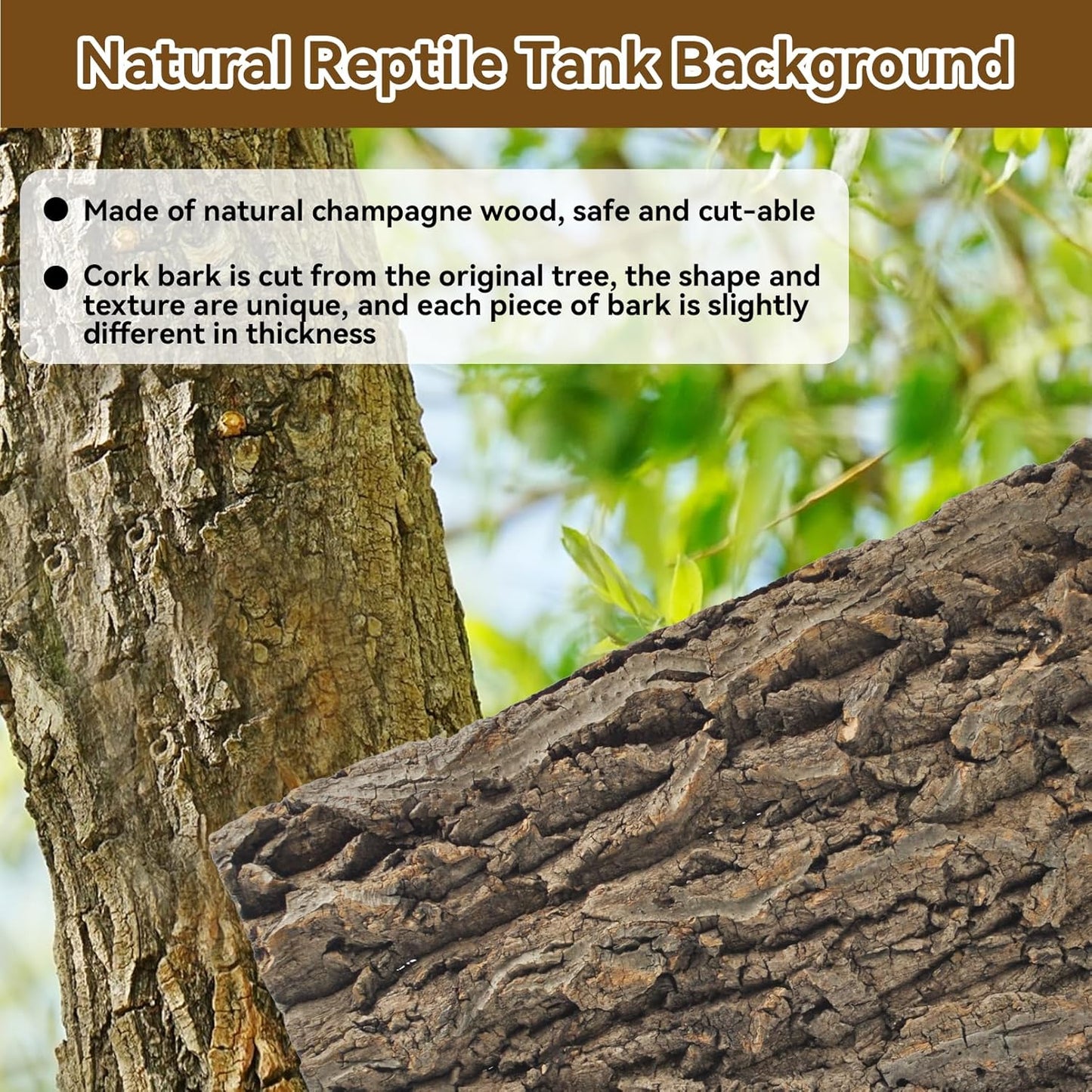 2PCS Reptile Cork Bark Background,15.74 x 11.81 Inch Natural Cork Wood Terrarium Background Bearded Dragon Tank Bark Backdrop Wall Decor for Lizard Gecko Chameleon Tortoise Snake Spider Frog