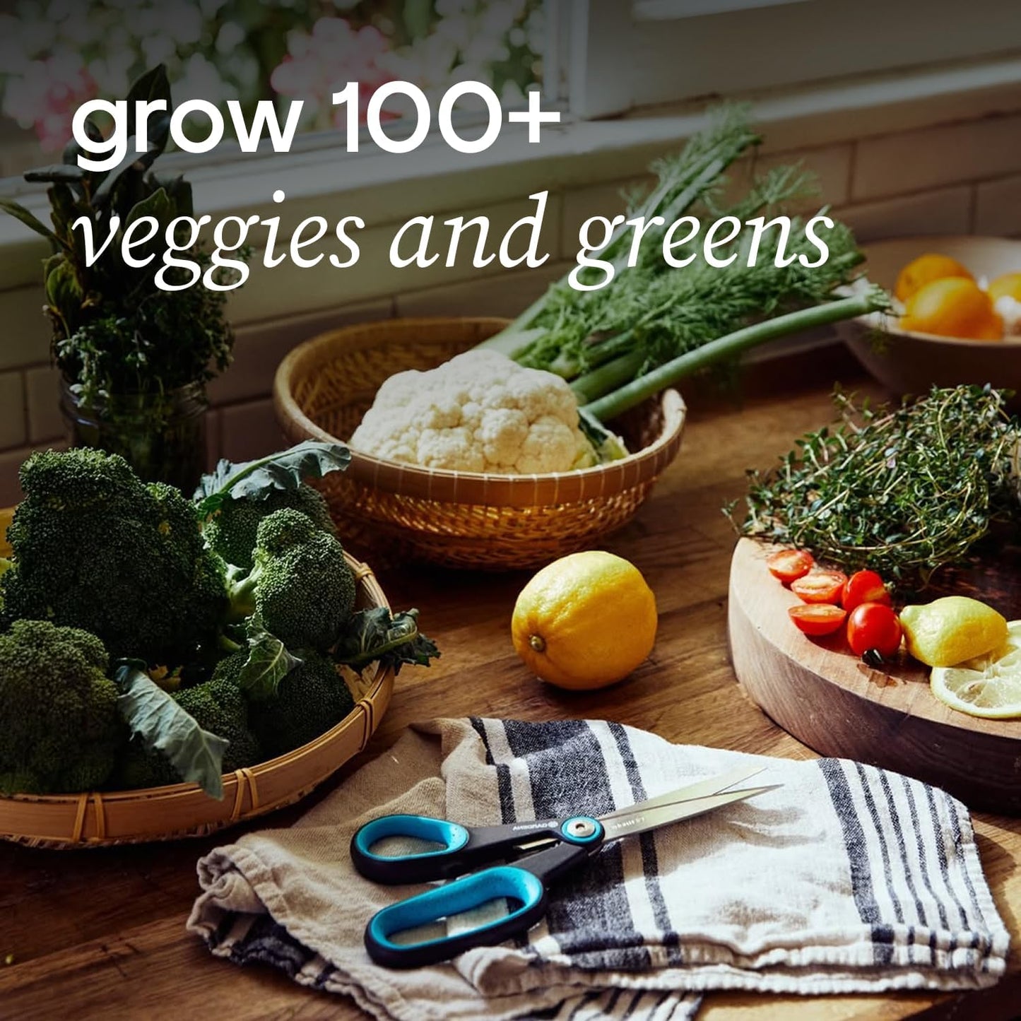 Farmstand Starter Kit + 12 Seedling Credits | Tiny Hydroponic Growing System Kit | Self-Watering Outdoor Vertical Garden Planter Tower | 3ft 8in | Made in USA