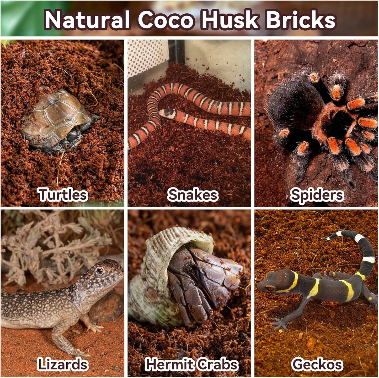 Legigo 8 Pack Compressed Coconut Fiber Substrate - 100% Organic Coconut Fiber Brick Bedding for Reptiles, Natural Coco Husk Substrate Terrarium Bedding for Snake, Hermit Crabs, Frogs, Tortoise, Gecko