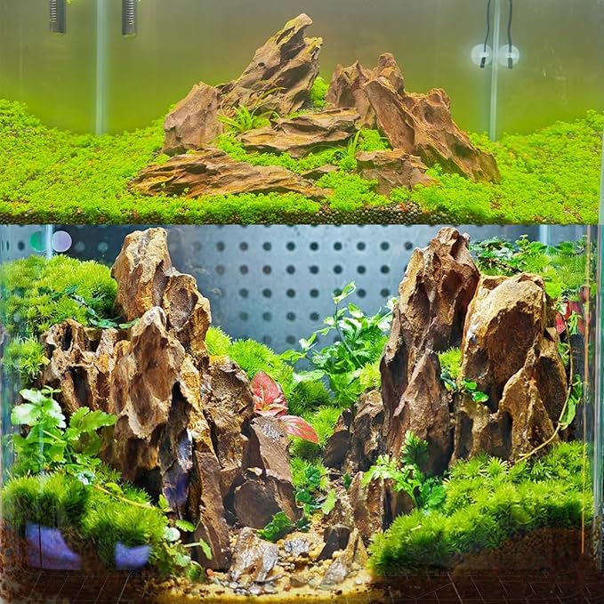 Dragon Rocks Aquarium Rock aquascaping Natural Stone Rocks Fish Tank Decor Rocks for Aquariums Landscaping Model Tank Decoration Aquarium Miniature -20Lb (2-8 inch)