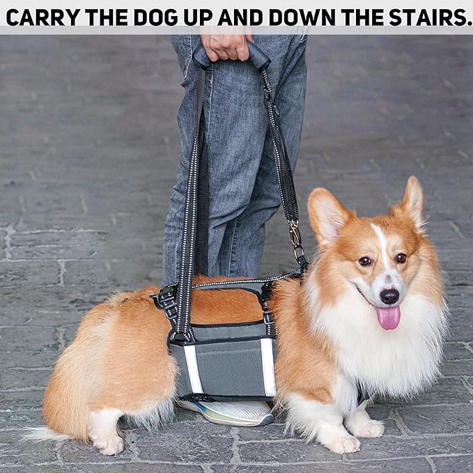 COODEO Mobility Dog Lift Harness, Emergency Carry Sling, Pet Rear Leg Support Rehabilitation Lifts Vest, Dog Carrier for Senior Dogs Joint Injuries, Arthritis (Military Green, M)