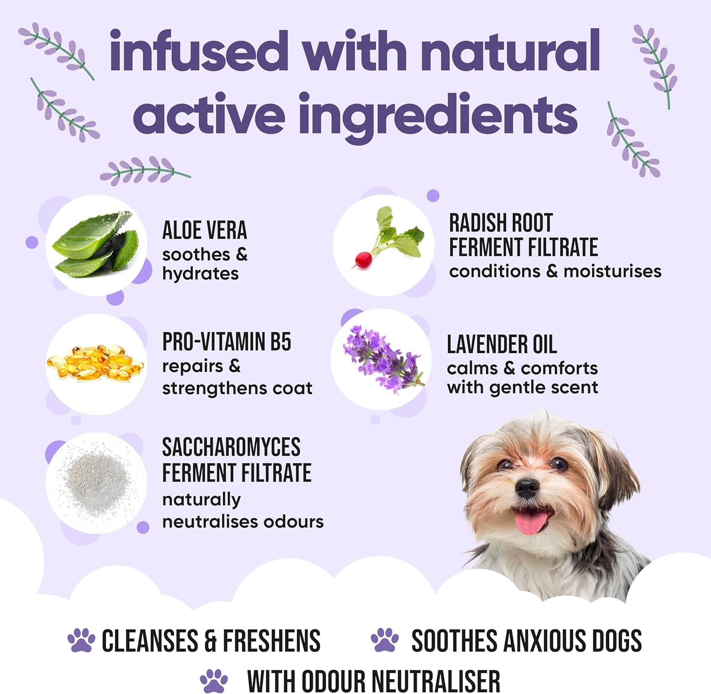 Calming & Deodorising Dog Shampoo by Buddycare | Lavender Scented | with Aloe Vera and Pro Vitamin B5 (33.8oz)