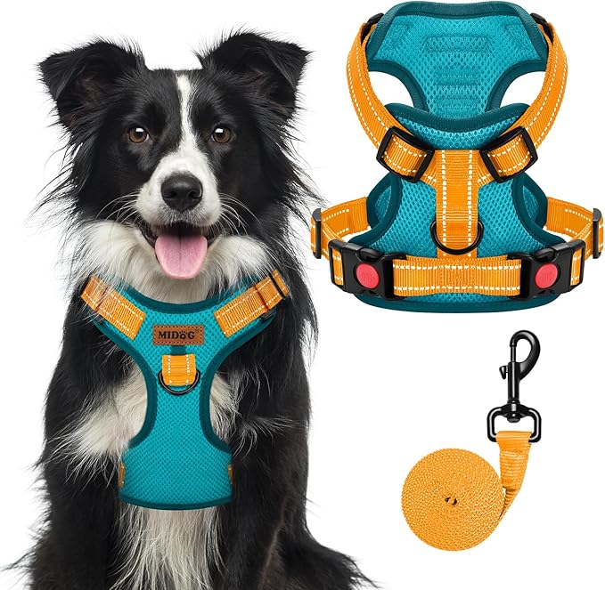 MIDOG No-Pull Dog Harness | Adjustable & Reflective Pet Harness Leash Set for Small Medium Large Dogs Walking, Training| No Choke, Front Clip, Soft Padded Vest with Easy Control Handle - Blue, XL
