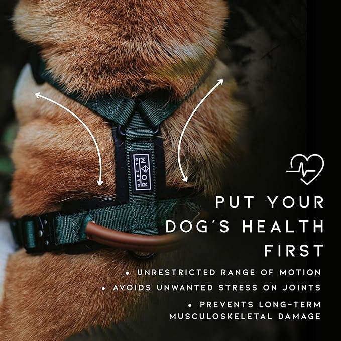 MADE TO ROAM Premium Explorer Harness - Y-Shaped Dog Harness with Adjustable Durable Nylon, Soft Padding, Metal Buckles and Leather Handle for Small, Medium, Large Dogs (Montana Moonrise, Size 4)