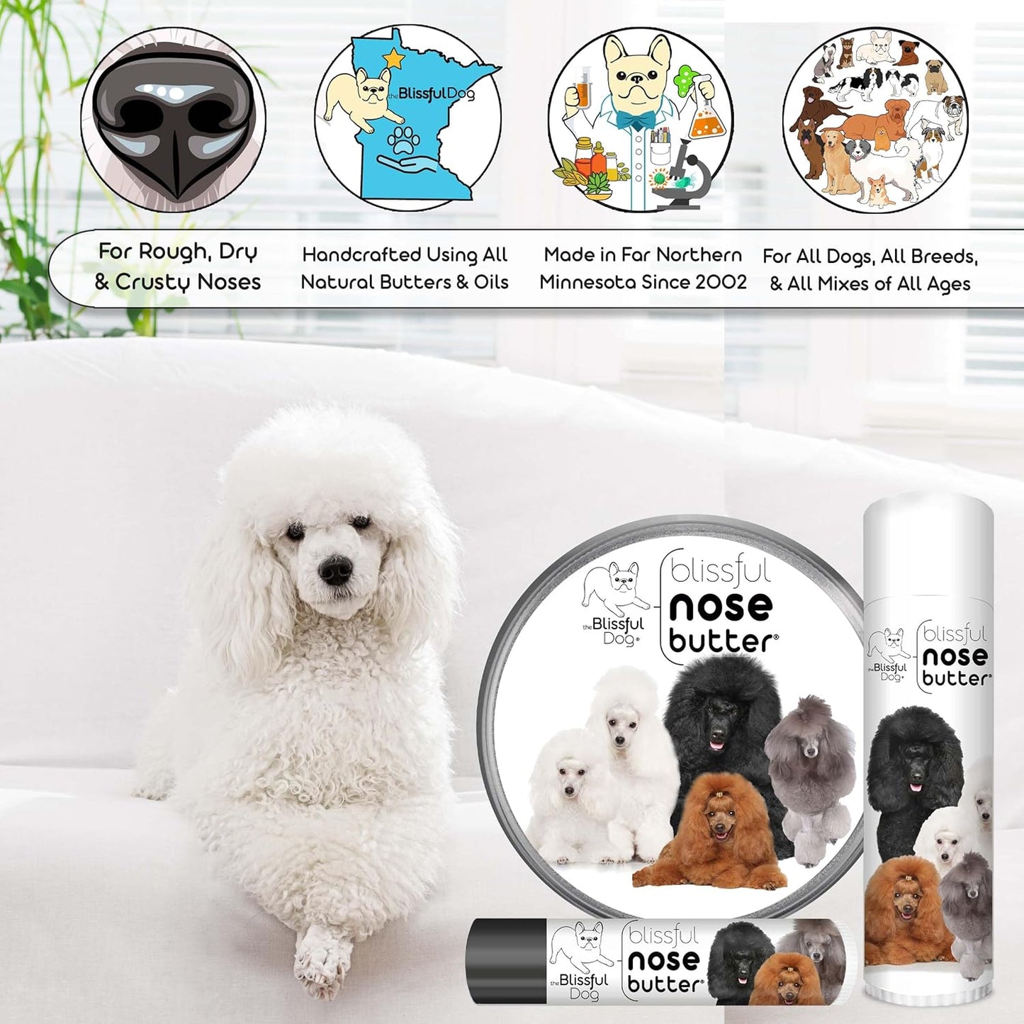 The Blissful Dog Poodle Nose Butter for Dry, Cracked Skin, Lick-Safe Dog Nose Balm with Moisturizing Shea Butter, Almond, Olive, and Essential Oils, Pet Supplies, Uncented, 2 oz.