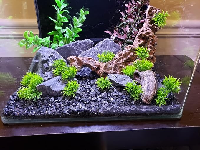 Natural Slate Stone 5 to 7 Inches - USA Sourced and Packaged for Aquascaping Aquariums, Terrariums, Paludariums, Reptile Enclosures, and Gardens (10lbs)