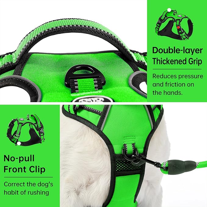 IVY&LANE No Pull Dog Harness for Small Dogs, Dog Vest Harness with Leash, Safety Belt and Storage Strap, Fully Adjustable Harness, 360° Reflective Strip, Soft Handle (Green,S)