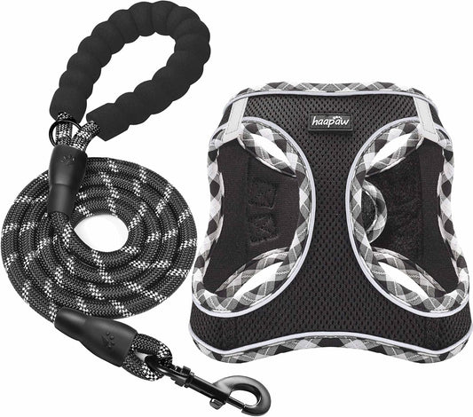 haapaw Dog Harness with Leash Set, No Pull Adjustable Reflective Step-in Puppy Harness with Thickened Padded Vest for Extra-Small/Small Medium Dogs