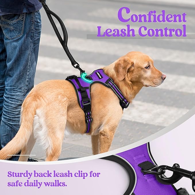 rabbitgoo Dog Harness, No-Pull Pet Harness with 2 Leash Clips, Adjustable Soft Padded Dog Vest, Reflective No-Choke Pet Oxford Vest with Easy Control Handle for Large Dogs, Purple, L