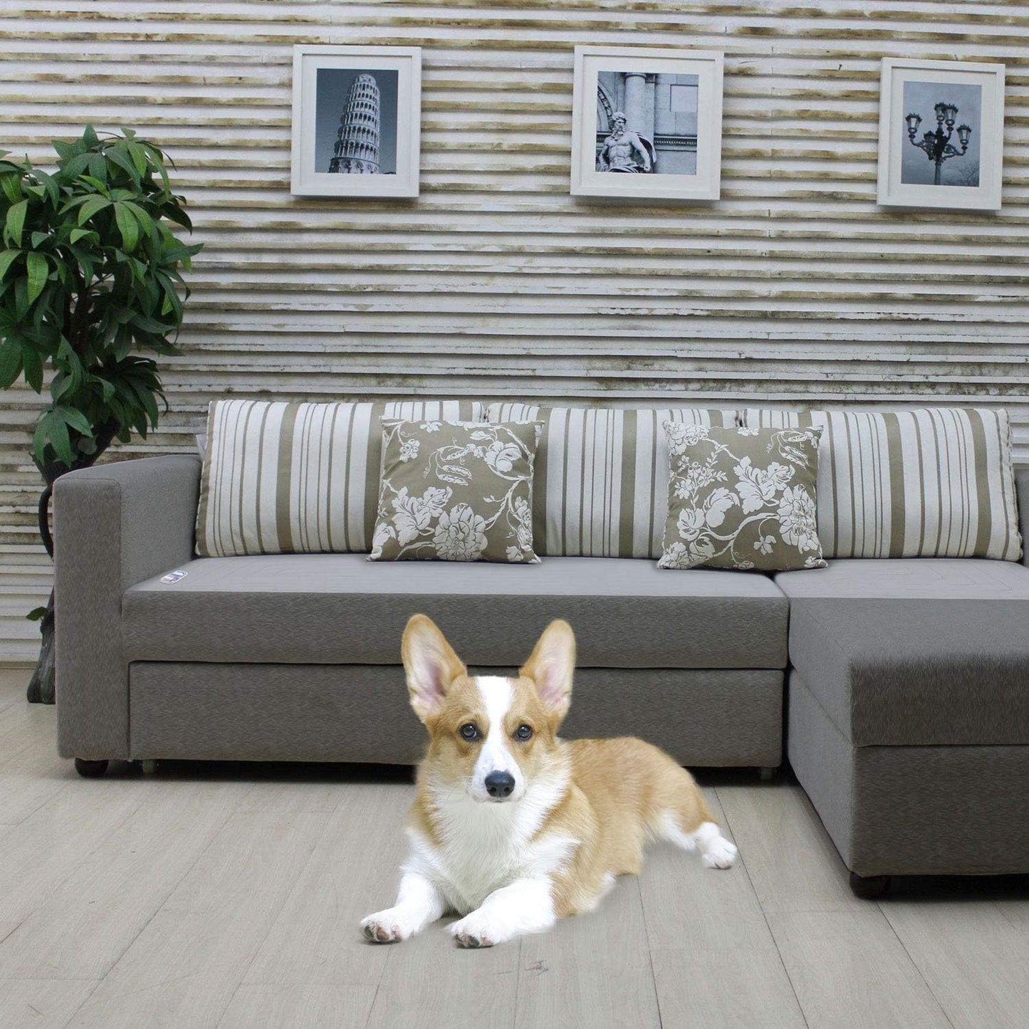 Electric Mat for Dogs Cats Pet Training Deterrent Shock Mat Pad - 60 x 12 in