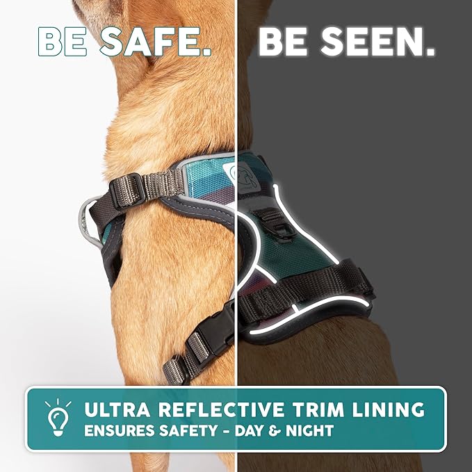 Embark Adventure Dog Harness, Reflective Trim XL Dog Harness for Extra Large Dogs No Pull - Military Grade Nylon, 2 Leash Clips & Gel Lined Handle. Soft & Padded Puppy Dog Harnesses for Any Breed