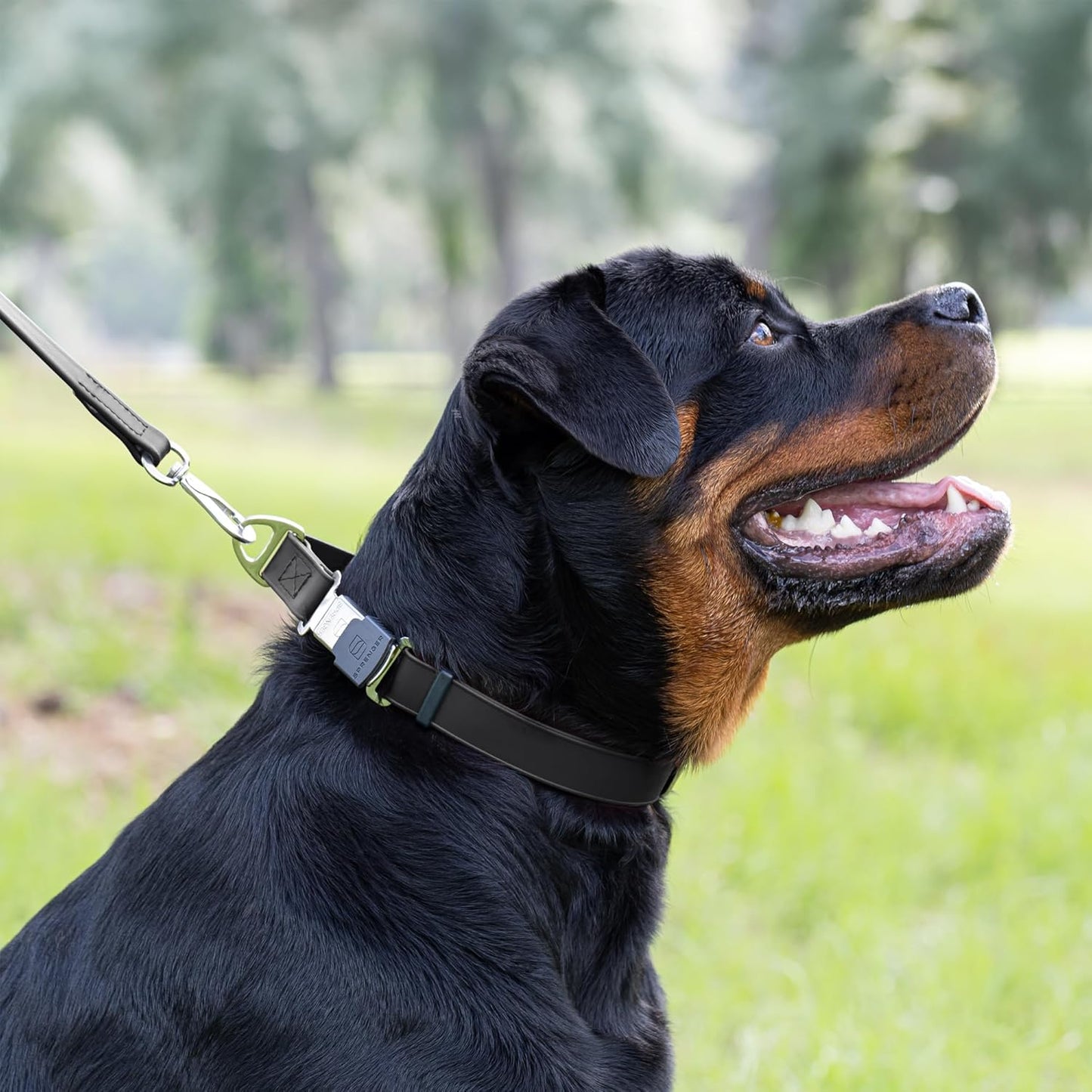 Dogline Biothane Waterproof Dog Collar with Herm Sprenger Stainless Steel Quick Release Buckle – Heavy Duty Tactical Durable Collar for Dogs – Comfortable and Safe Pet Collar, W 1" L 15-25", Black