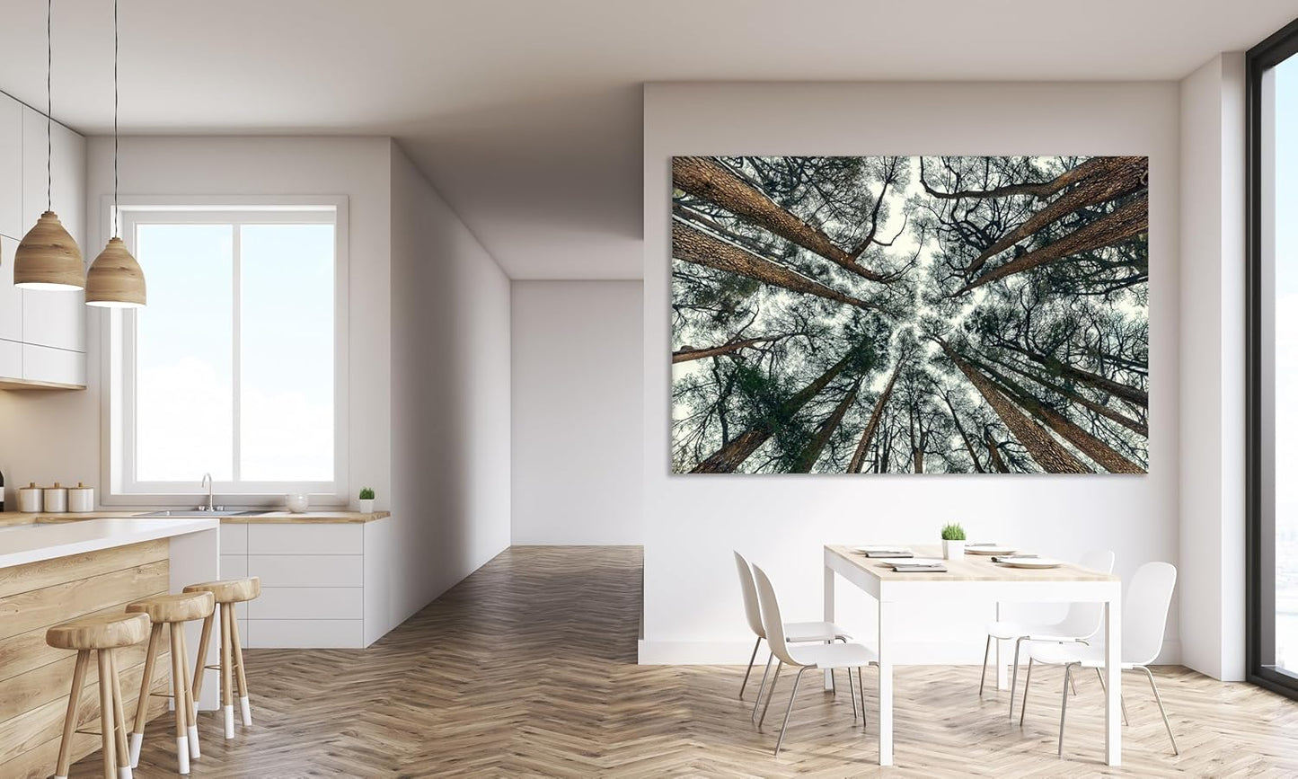 Nature Wall Art Prints - Ocean Forest Mountain Lake Canvas Landscapes - Small to Extra Large Living Room Bedroom Kitchen Bathroom Décor (Trees and Sky, 24L" x 36W")