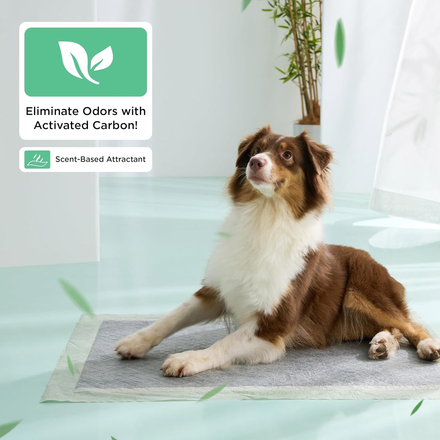 Bedsure Dog Pee Pads Extra Large, 28" x 34" Puppy Pads 30 Count, Super Absorbent & Leak Proof, XL Training Pads Quick Dry Thicken Dog Potty Pad with Odor-Control Activated Carbon & ECO Green Material