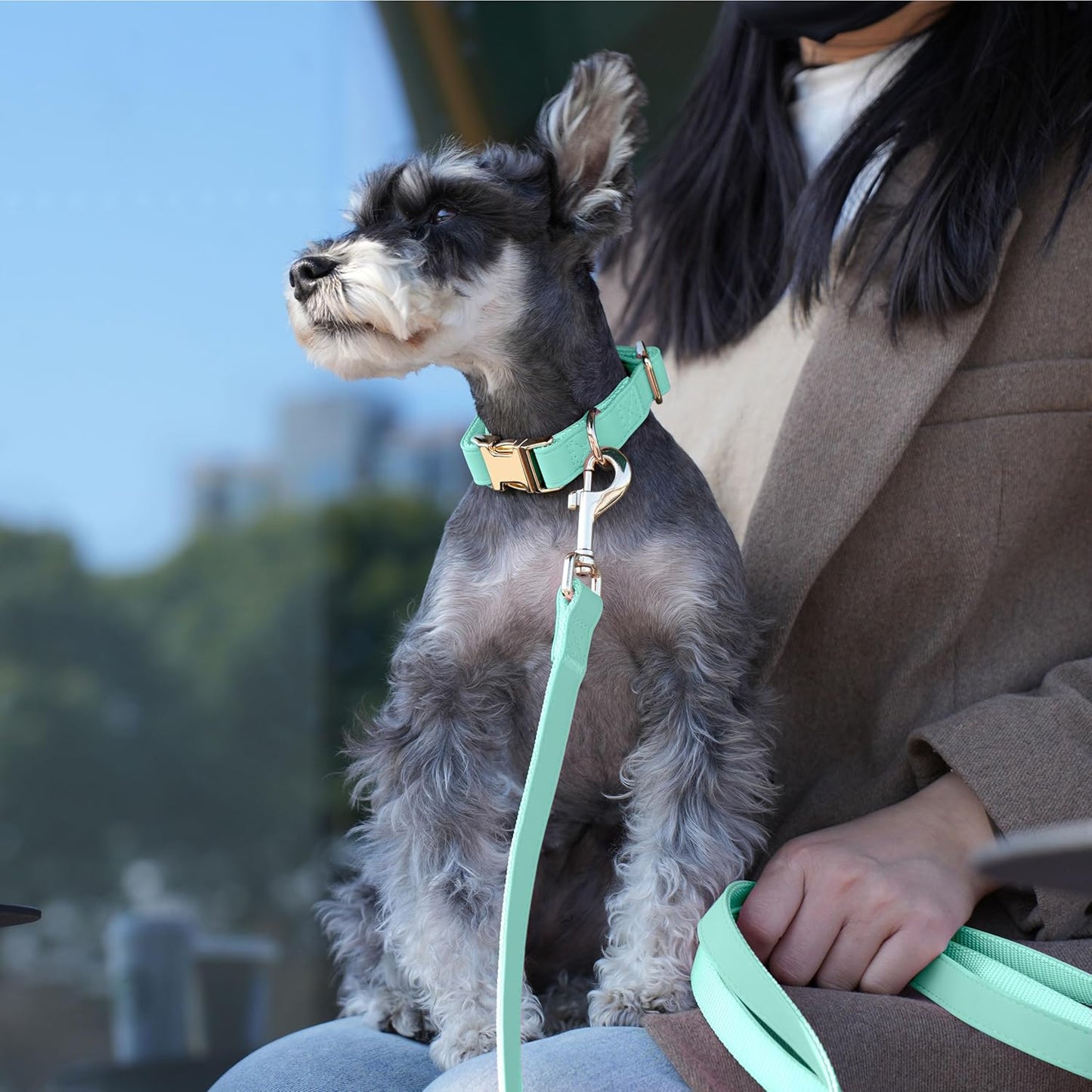 PET ARTIST Soft PU Leather Dog Collar, Bright Color & Durable Dog Collar Leather with Rose Gold Quick Release Metal Buckle, Adjustable Nylon Padded Pet Collars for Small Dogs, Neck Fit 9-14"