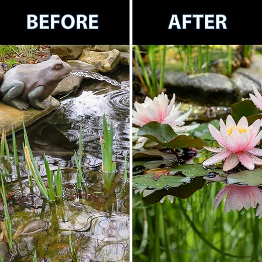 CrystalClear Thrive Aquatic Pond Plant Food, Fish Safe Water Garden Fertilizer, Nutrients Boost Lily & Lotus Flower Bloom & Root Growth, 60 Tablets