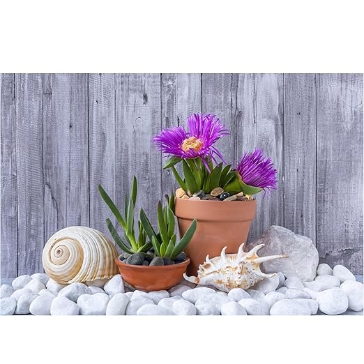 Natural Unpolished Bulk Pebbles 20lbs, 2-3 Inch White River Rocks, Hand-Picked Premium Stones for Landscaping and Garden Design Fish Tank, Flower Pots, Pathways and Backyard