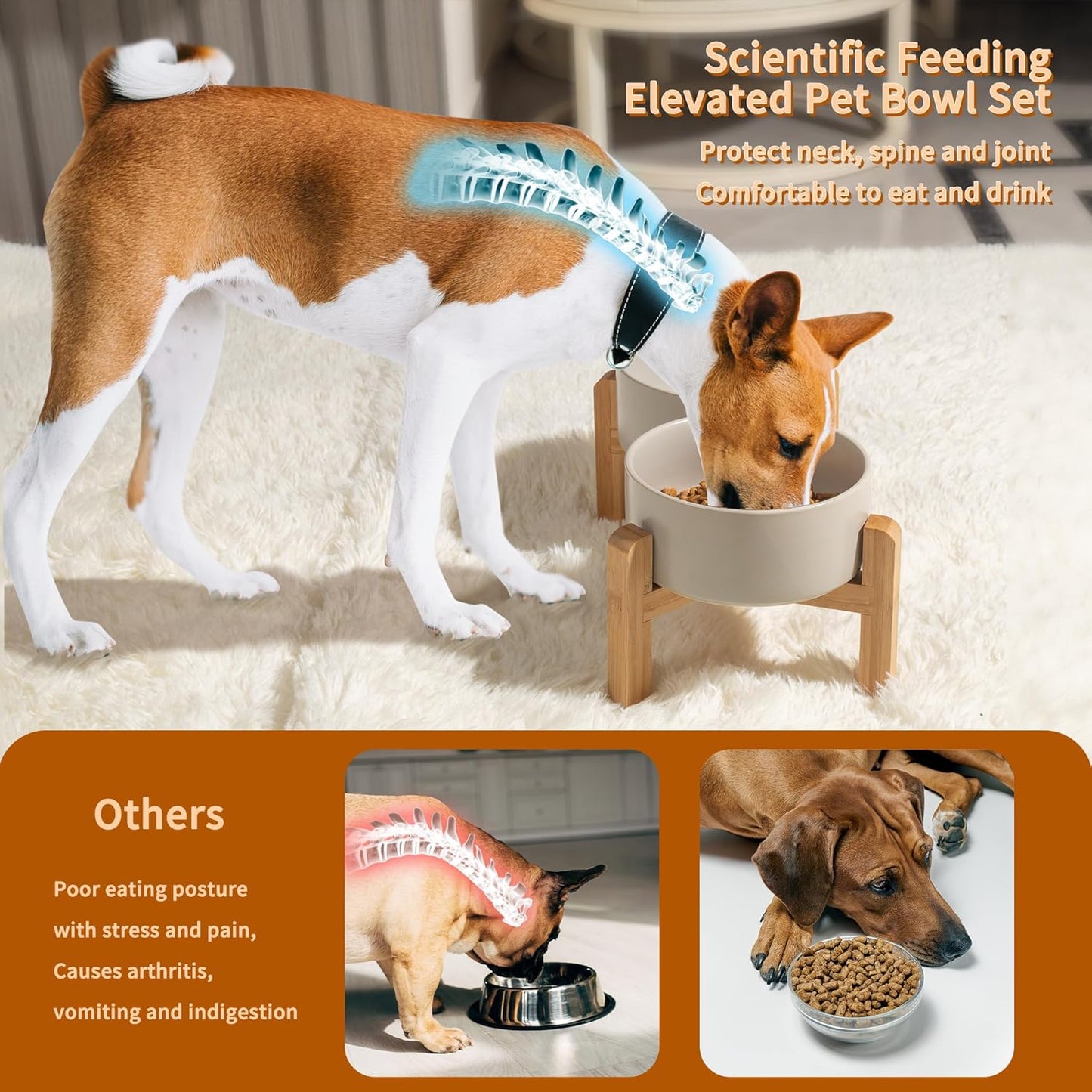 Elevated Ceramic Dog Bowl Set - Raised Dog Bowls with Non-Slip Bamboo Stand - Dog Food and Water Bowl Set - Double Dog Feeding Bowls - Suitable for Small and Medium Dogs - 28.74 OZ - 3.6 CUPS - 850 ML