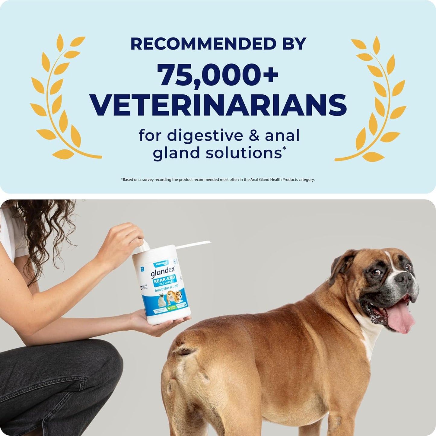 Vetnique Labs Glandex Dog Wipes for Pets Cleansing & Deodorizing Anal Gland Hygienic Dog & Cat Wipes with Vitamin E, Skin Conditioners and Aloe (100ct Pouch)