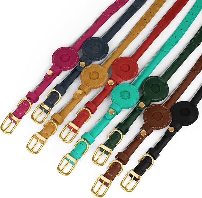 OOPSDOGGY Rolled Leather Dog Collar with Airtag Holder - Reflective Round Airtag Dog Collar - Soft Tracking Pet Collar for Small Dogs Puppy Cats Kitten (Green, XS, 8"-11")