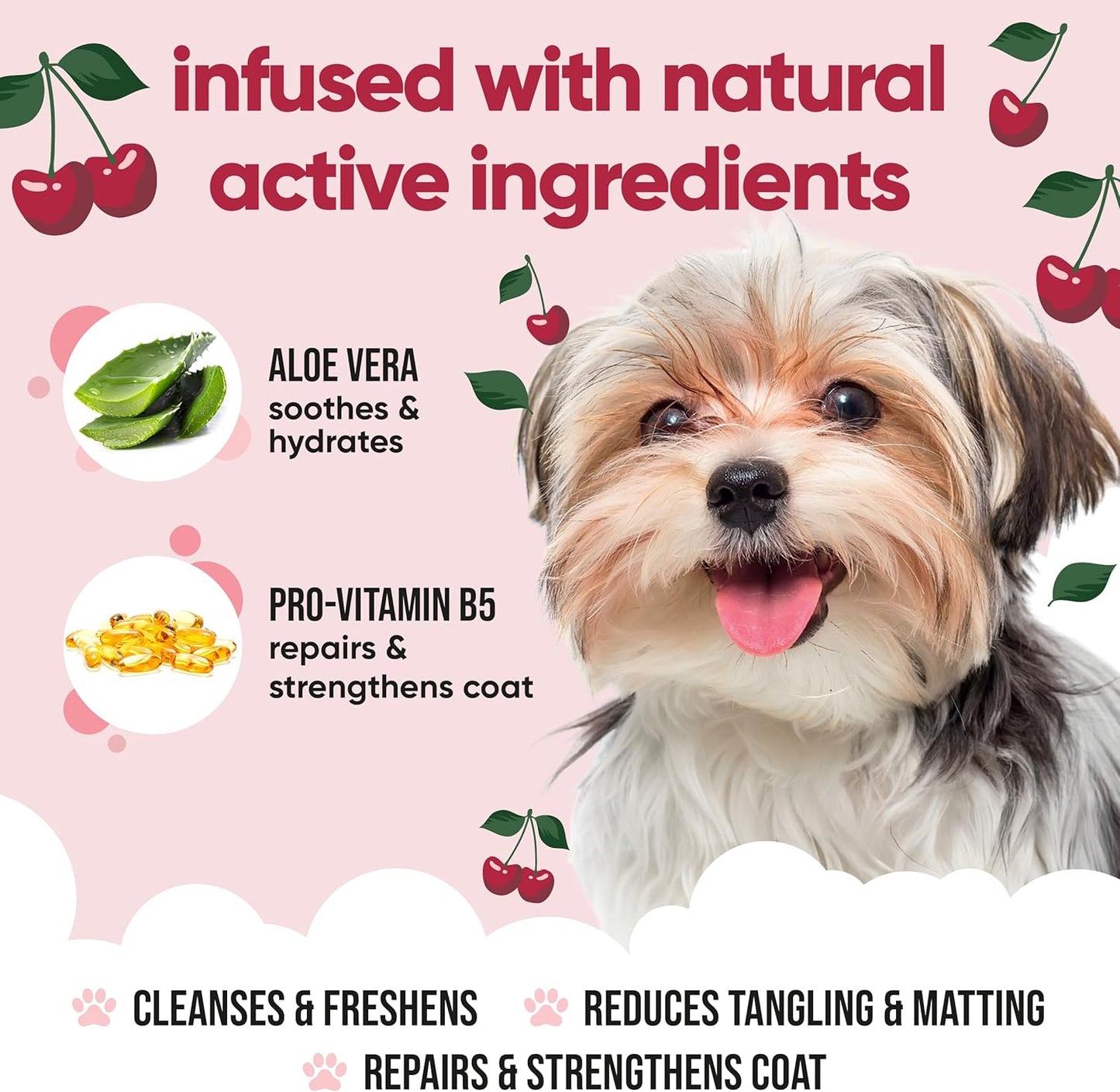 Black Cherry Dog Shampoo by Buddycare | Dry Skin & Itchy Skin Relief for Smelly Dogs | Deep Cleansing for Dogs Puppy Sensitive Skin | Dog Shampoo & Conditioner | with Aloe & Vitamin B5 (16.90oz)