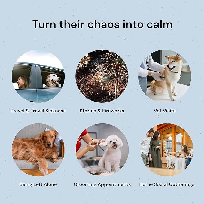 MalsiPree Calming Chews for Dogs - 145 pcs Chicken - Helps Regulate Mood - Relief Treats - No Sedative Effect - Freeze Dried - with Passion Flower & Melatonin