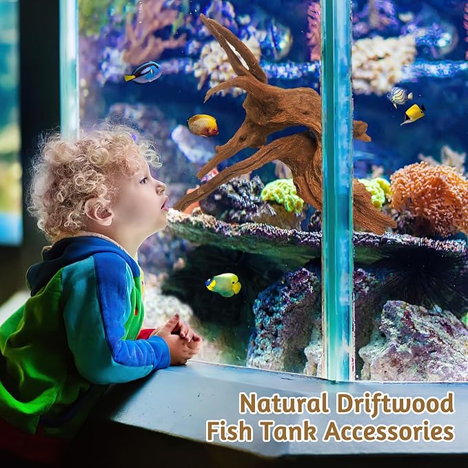 kathson Natural Large Aquarium Driftwood Decoration Branches Reptiles Terrarium Ornament Wood Fish Tank Habitat Decor Assorted Sizes Wood 2 PCS (15"-19")