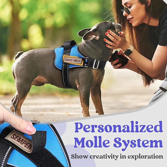 rabbitgoo Dog Harness for Large, Easy On Pet Vest with One Buckle, No Pull Adjustable Service Harness with D-Ring & Handle, Reflective for Safety Walking, Training, Blue, XL