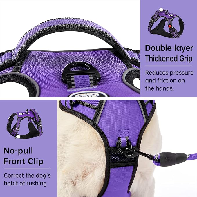 IVY&LANE No Pull Dog Harness for Small Dogs, Dog Vest Harness with Leash, Safety Belt and Storage Strap, Fully Adjustable Harness, 360° Reflective Strip, Soft Handle (Purple, XS)