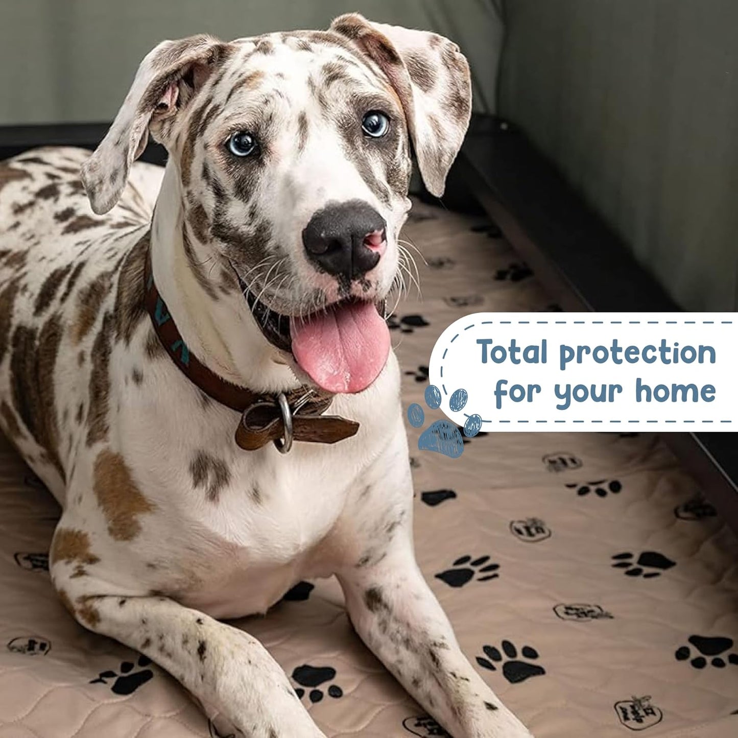 EZwhelp Reusable Dog Pee Pads, Washable Waterproof Mats for Potty Training or Whelping Pads, Puppy Pad with Rounded Corners, 27.5x29.5 Inch, 2 Pack