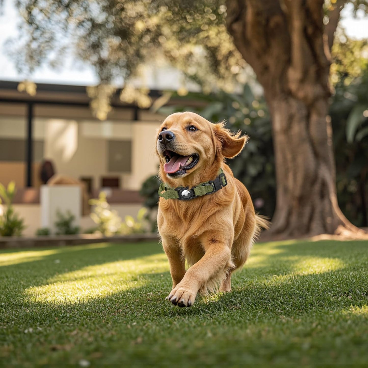 Tactical AirTag Dog Collar Leash Set - Heavy Duty, Adjustable GPS Collar Compatible with Apple AirTag, with Holder & Control Handle for Medium/Large Dogs [ Green, M ]