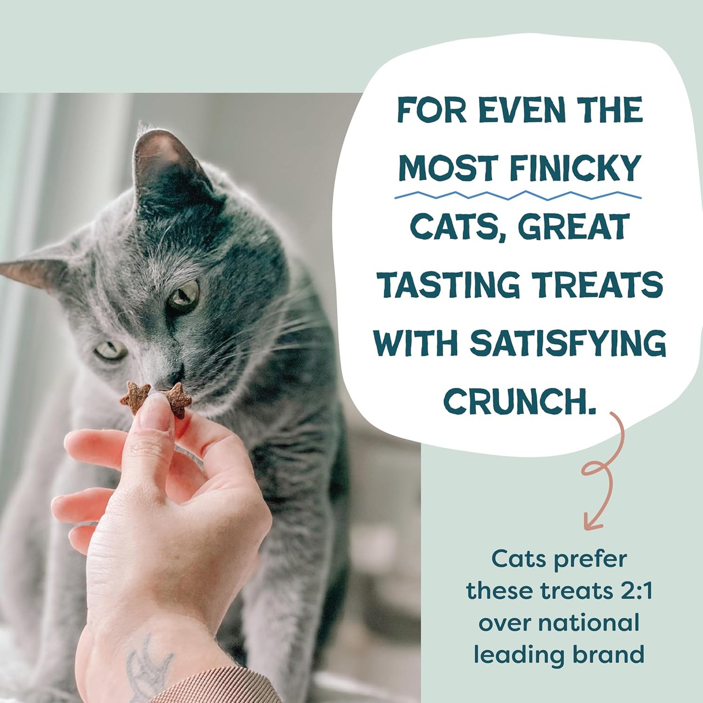 Shameless Pets Crunchy Cat Treats - Kitty Treats with Natural Salmon, Healthy Yam Good Flavors - 3-Pk